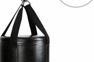 Best MMA Heavy Punching Bags for Training | Ultimate Guide to MMA: Training, Techniques, and Top Fighters in The World