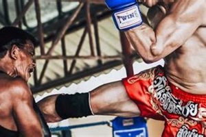 Best MMA Classes & Gyms in Austin TX | Ultimate Guide to MMA: Training, Techniques, and Top Fighters in The World