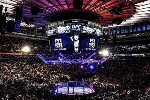 Ultimate MMA at MSG: Fight Night Glory Ultimate Guide to MMA: Training, Techniques, and Top Fighters in The World Ultimate MMA at MSG: Fight Night Glory | Ultimate Guide to MMA: Training, Techniques, and Top Fighters in The World