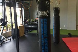 Top Boca Raton MMA Gyms & Training Ultimate Guide to MMA: Training, Techniques, and Top Fighters in The World Top Boca Raton MMA Gyms & Training | Ultimate Guide to MMA: Training, Techniques, and Top Fighters in The World