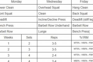 MMA Training Camp Length: A Complete Guide Ultimate Guide to MMA: Training, Techniques, and Top Fighters in The World MMA Training Camp Length: A Complete Guide | Ultimate Guide to MMA: Training, Techniques, and Top Fighters in The World