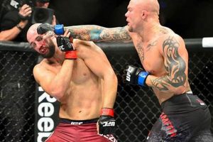 Watch Full MMA Fight Replays Online Free | Ultimate Guide to MMA: Training, Techniques, and Top Fighters in The World