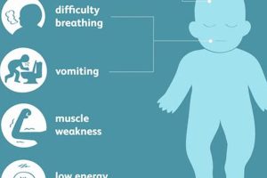 Mma Genetic Disorder Ultimate Guide to MMA: Training, Techniques, and Top Fighters in The World Mma Genetic Disorder | Ultimate Guide to MMA: Training, Techniques, and Top Fighters in The World