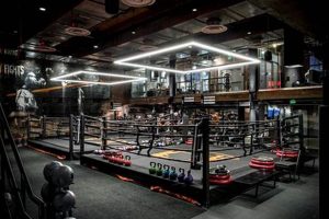 Best MMA Gyms &amp; Training in San Francisco | Ultimate Guide to MMA: Training, Techniques, and Top Fighters in The World