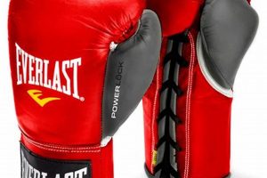 Best Boxing & MMA Gloves: Guide & Reviews | Ultimate Guide to MMA: Training, Techniques, and Top Fighters in The World
