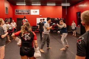 Top Michigan MMA Gyms: Train Like a Pro | Ultimate Guide to MMA: Training, Techniques, and Top Fighters in The World