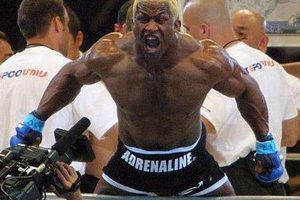 Fallen MMA Fighters: Remembering the Lost | Ultimate Guide to MMA: Training, Techniques, and Top Fighters in The World