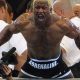 Fallen MMA Fighters: Remembering the Lost | Ultimate Guide to MMA: Training, Techniques, and Top Fighters in The World