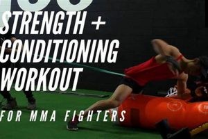Ultimate MMA Strength & Conditioning Workouts Ultimate Guide to MMA: Training, Techniques, and Top Fighters in The World Ultimate MMA Strength & Conditioning Workouts | Ultimate Guide to MMA: Training, Techniques, and Top Fighters in The World