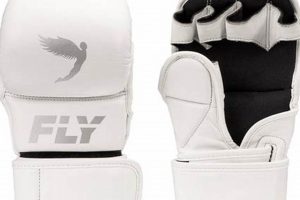 Ultimate Fly MMA Training & Techniques Ultimate Guide to MMA: Training, Techniques, and Top Fighters in The World Ultimate Fly MMA Training & Techniques | Ultimate Guide to MMA: Training, Techniques, and Top Fighters in The World