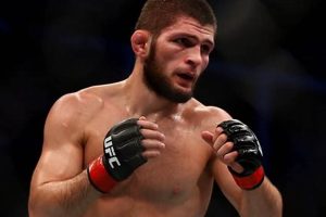 Khabib Boxing: Mastering the UFC Champ's Style | Ultimate Guide to MMA: Training, Techniques, and Top Fighters in The World