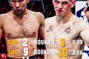 MMA: Mastering Significant Strikes for Victory Ultimate Guide to MMA: Training, Techniques, and Top Fighters in The World MMA: Mastering Significant Strikes for Victory | Ultimate Guide to MMA: Training, Techniques, and Top Fighters in The World