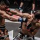 The Ultimate Boxer's Guide to MMA | Ultimate Guide to MMA: Training, Techniques, and Top Fighters in The World