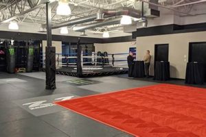 Top 10 Rated MMA Gyms & Training Centers | Ultimate Guide to MMA: Training, Techniques, and Top Fighters in The World