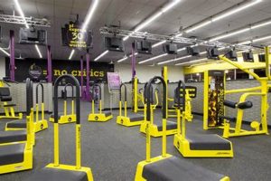 Best MMA Gym & Fitness in Fort Myers, FL | Ultimate Guide to MMA: Training, Techniques, and Top Fighters in The World