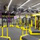 Best MMA Gym & Fitness in Fort Myers, FL | Ultimate Guide to MMA: Training, Techniques, and Top Fighters in The World