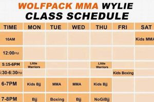Train MMA at Wolfpack MMA Wylie, TX Ultimate Guide to MMA: Training, Techniques, and Top Fighters in The World Train MMA at Wolfpack MMA Wylie, TX | Ultimate Guide to MMA: Training, Techniques, and Top Fighters in The World
