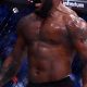 Yoel Romero's Complete MMA Fight Record & Stats | Ultimate Guide to MMA: Training, Techniques, and Top Fighters in The World