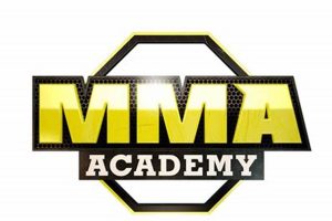 The Ultimate Academy MMA Training Guide Ultimate Guide to MMA: Training, Techniques, and Top Fighters in The World The Ultimate Academy MMA Training Guide | Ultimate Guide to MMA: Training, Techniques, and Top Fighters in The World
