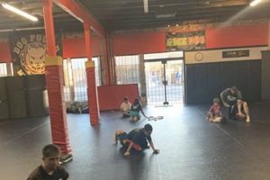 The Ultimate Dog Pound MMA & Fitness Guide | Ultimate Guide to MMA: Training, Techniques, and Top Fighters in The World