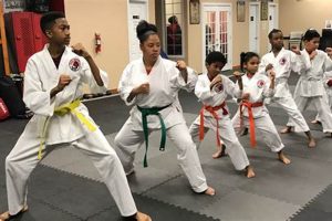 Mma Schools Houston Ultimate Guide to MMA: Training, Techniques, and Top Fighters in The World Mma Schools Houston | Ultimate Guide to MMA: Training, Techniques, and Top Fighters in The World