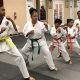 Mma Schools Houston | Ultimate Guide to MMA: Training, Techniques, and Top Fighters in The World