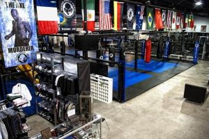 Best MMA Gyms & Training in Henderson, NV | Ultimate Guide to MMA: Training, Techniques, and Top Fighters in The World