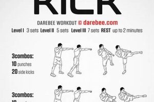 Ultimate Cardio MMA Workout Guide Ultimate Guide to MMA: Training, Techniques, and Top Fighters in The World Ultimate Cardio MMA Workout Guide | Ultimate Guide to MMA: Training, Techniques, and Top Fighters in The World