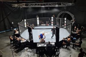 Your Guide to Local MMA Gyms & Events Ultimate Guide to MMA: Training, Techniques, and Top Fighters in The World Your Guide to Local MMA Gyms & Events | Ultimate Guide to MMA: Training, Techniques, and Top Fighters in The World
