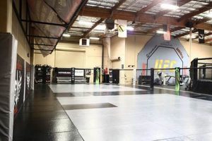 Best Adult MMA Gyms Near Me | Find Your Gym | Ultimate Guide to MMA: Training, Techniques, and Top Fighters in The World