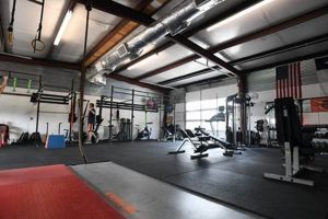 Best MMA Gyms & Training in Dallas, TX Ultimate Guide to MMA: Training, Techniques, and Top Fighters in The World Best MMA Gyms & Training in Dallas, TX | Ultimate Guide to MMA: Training, Techniques, and Top Fighters in The World