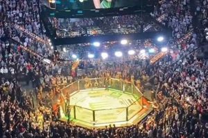 Top MMA 304 Steel Guide & Uses | Ultimate Guide to MMA: Training, Techniques, and Top Fighters in The World