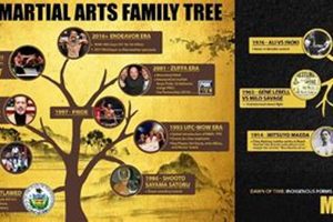 The Real History: When Was MMA Invented? | Ultimate Guide to MMA: Training, Techniques, and Top Fighters in The World