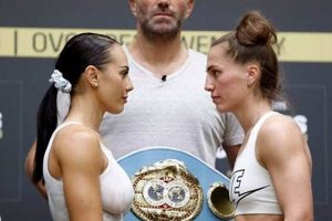 Protecting MMA Athletes: Safety & Privacy | Ultimate Guide to MMA: Training, Techniques, and Top Fighters in The World