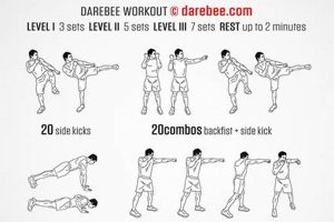 Ultimate MMA Fighter Workout: Train Like a Pro Ultimate Guide to MMA: Training, Techniques, and Top Fighters in The World Ultimate MMA Fighter Workout: Train Like a Pro | Ultimate Guide to MMA: Training, Techniques, and Top Fighters in The World