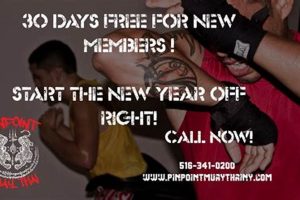Maximize Your Muay Thai/MMA Fitness | Ultimate Guide to MMA: Training, Techniques, and Top Fighters in The World