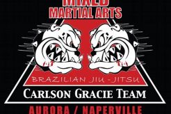 Best MMA Gyms & Training in Naperville, IL Ultimate Guide to MMA: Training, Techniques, and Top Fighters in The World Best MMA Gyms & Training in Naperville, IL | Ultimate Guide to MMA: Training, Techniques, and Top Fighters in The World