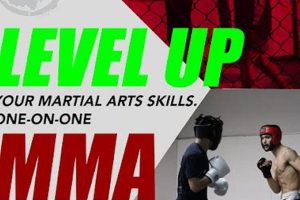 Best Columbus MMA Training: Gyms & Classes | Ultimate Guide to MMA: Training, Techniques, and Top Fighters in The World