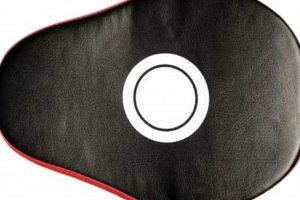 Best MMA Accessories & Gear Guide | Ultimate Guide to MMA: Training, Techniques, and Top Fighters in The World
