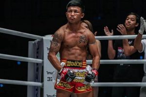 The Ultimate MMA Ironman Training Guide | Ultimate Guide to MMA: Training, Techniques, and Top Fighters in The World