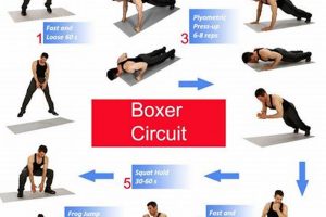 Top Bodyweight Exercises for MMA Training Ultimate Guide to MMA: Training, Techniques, and Top Fighters in The World Top Bodyweight Exercises for MMA Training | Ultimate Guide to MMA: Training, Techniques, and Top Fighters in The World