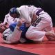 Essential MMA BJJ Techniques & Strategies | Ultimate Guide to MMA: Training, Techniques, and Top Fighters in The World