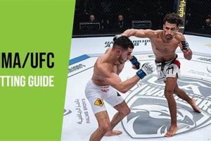Ultimate Guide: How to Bet on MMA & Win | Ultimate Guide to MMA: Training, Techniques, and Top Fighters in The World