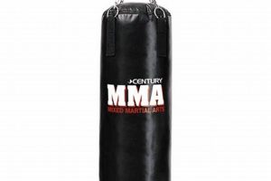 Top 5 Best MMA Heavy Bags for 2024 | Ultimate Guide to MMA: Training, Techniques, and Top Fighters in The World