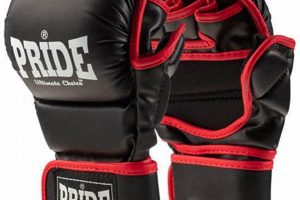 Best Pride Gloves for MMA Fighters & Training Ultimate Guide to MMA: Training, Techniques, and Top Fighters in The World Best Pride Gloves for MMA Fighters & Training | Ultimate Guide to MMA: Training, Techniques, and Top Fighters in The World