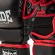 Best Pride Gloves for MMA Fighters & Training | Ultimate Guide to MMA: Training, Techniques, and Top Fighters in The World