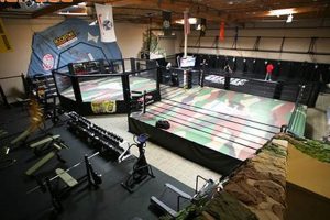 Train Like a Pro at Xtreme Couture MMA Gym & Fitness Ultimate Guide to MMA: Training, Techniques, and Top Fighters in The World Train Like a Pro at Xtreme Couture MMA Gym & Fitness | Ultimate Guide to MMA: Training, Techniques, and Top Fighters in The World
