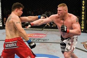 The Brock Lesnar MMA Phenomenon: A UFC Legend | Ultimate Guide to MMA: Training, Techniques, and Top Fighters in The World
