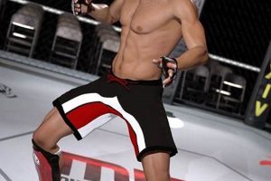 Ultimate MMA 3D Training & Analysis Ultimate Guide to MMA: Training, Techniques, and Top Fighters in The World Ultimate MMA 3D Training & Analysis | Ultimate Guide to MMA: Training, Techniques, and Top Fighters in The World