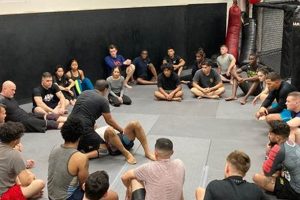 The Compound MMA: Mastering Mixed Martial Arts Ultimate Guide to MMA: Training, Techniques, and Top Fighters in The World The Compound MMA: Mastering Mixed Martial Arts | Ultimate Guide to MMA: Training, Techniques, and Top Fighters in The World